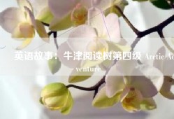 ► 英语故事：牛津阅读树第四级 Arctic Adventure