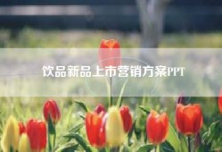 饮品新品上市营销方案PPT