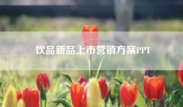 饮品新品上市营销方案PPT
