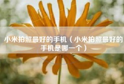 小米拍照最好的手机（小米拍照最好的手机是哪一个）