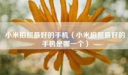 小米拍照最好的手机（小米拍照最好的手机是哪一个）