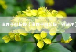 清理手机垃圾（清理手机垃圾一键清理）