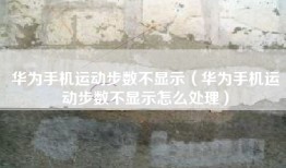 华为手机运动步数不显示（华为手机运动步数不显示怎么处理）