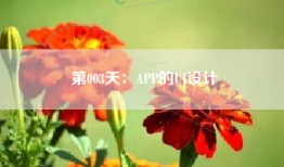 第003天：APP的UI设计