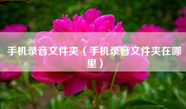 手机录音文件夹（手机录音文件夹在哪里）