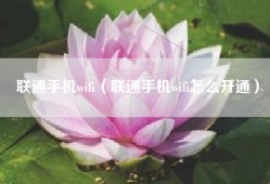 联通手机wifi（联通手机wifi怎么开通）