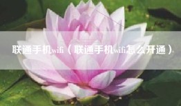 联通手机wifi（联通手机wifi怎么开通）