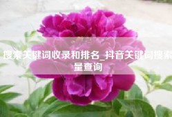 搜索关键词收录和排名_抖音关键词搜索量查询