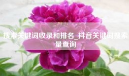 搜索关键词收录和排名_抖音关键词搜索量查询
