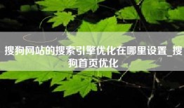 搜狗网站的搜索引擎优化在哪里设置_搜狗首页优化