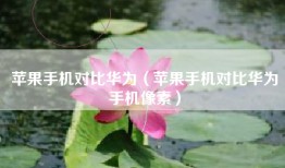 苹果手机对比华为（苹果手机对比华为手机像素）