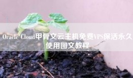 Oracle Cloud甲骨文云主机免费VPS保活永久使用图文教程