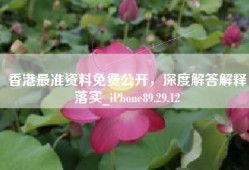 香港最准资料免费公开，深度解答解释落实_iPhone89.29.12