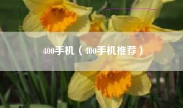 400手机（400手机推荐）