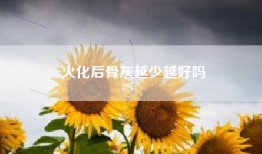 火化后骨灰越少越好吗