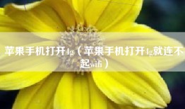 苹果手机打开4g（苹果手机打开4g就连不起wifi）
