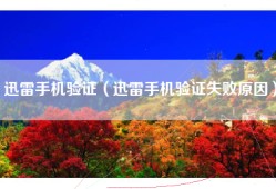 迅雷手机验证（迅雷手机验证失败原因）