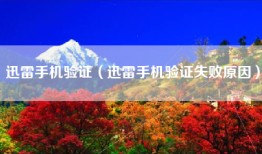 迅雷手机验证（迅雷手机验证失败原因）