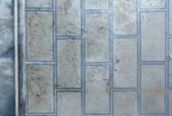 拓落不羁打一最佳准确生肖，成语作答释义落实