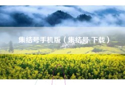 集结号手机版（集结号 下载）