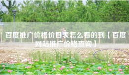 百度推广价格价目表怎么看的到【百度网站推广价格查询】