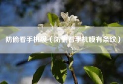 防偷看手机膜（防偷看手机膜有条纹）