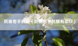 防偷看手机膜（防偷看手机膜有条纹）