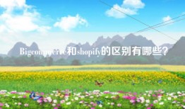 Bigcommerce和shopify的区别有哪些？