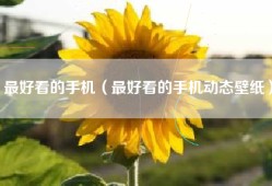 最好看的手机（最好看的手机动态壁纸）