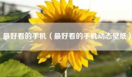 最好看的手机（最好看的手机动态壁纸）