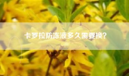 卡罗拉防冻液多久需要换？