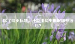 除了网页标题，还能用爬虫抓取哪些信息？
