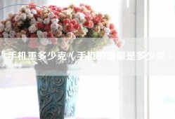 手机重多少克（手机的重量是多少克）