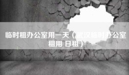 临时租办公室用一天（武汉临时办公室租用 日租）