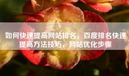 如何快速提高网站排名，百度排名快速提高方法技巧，网站优化步骤