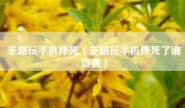 走路玩手机摔死（走路玩手机摔死了谁负责）