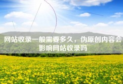 网站收录一般需要多久，伪原创内容会影响网站收录吗