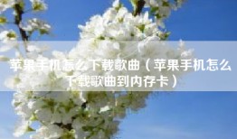 苹果手机怎么下载歌曲（苹果手机怎么下载歌曲到内存卡）