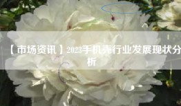 【市场资讯】2023手机壳行业发展现状分析