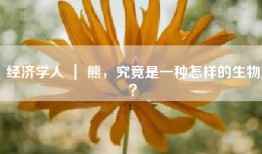 经济学人 ｜ 熊，究竟是一种怎样的生物？