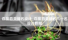 百度首页排名设计_百度首页排名几十名设计教程
