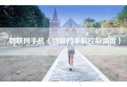 物联网手机（物联网手机控制温度）