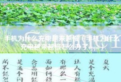 手机为什么充电越来越慢（手机为什么充电越来越慢怎么办了oppo）