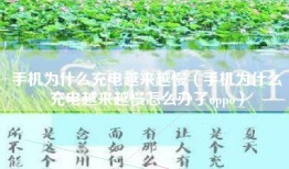 手机为什么充电越来越慢（手机为什么充电越来越慢怎么办了oppo）
