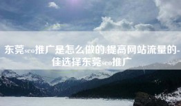 东莞seo推广是怎么做的,提高网站流量的-佳选择东莞seo推广