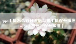 oppo手机怎么双开微信苹果手机双开微信「oppo手机怎么双开微信」