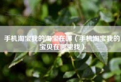 手机淘宝我的淘宝在哪（手机淘宝我的宝贝在哪里找）