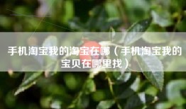 手机淘宝我的淘宝在哪（手机淘宝我的宝贝在哪里找）