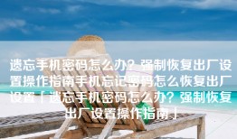 遗忘手机密码怎么办？强制恢复出厂设置操作指南手机忘记密码怎么恢复出厂设置「遗忘手机密码怎么办？强制恢复出厂设置操作指南」