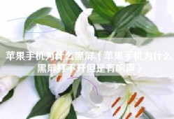 苹果手机为什么黑屏（苹果手机为什么黑屏打不开但是有响声）